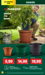 Gazetka promocyjna Lidl - GAZETKA - Gazetka - ważna od 31.05 do 31.05.2025 - strona 34 - produkty: Parkside, Por, Ogród
