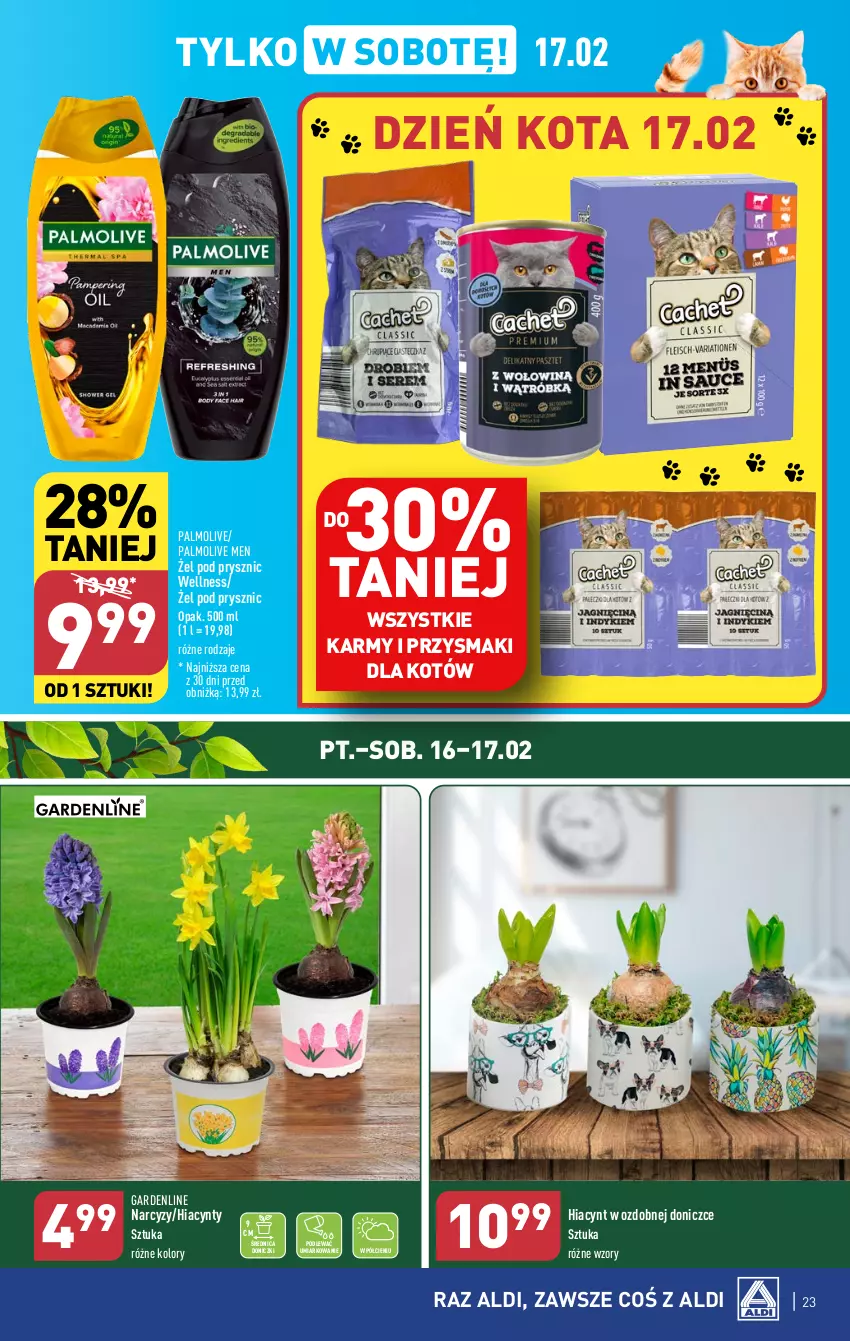 Gazetka promocyjna Aldi - Pełna oferta - ważna 12.02 do 17.02.2024 - strona 23 - produkty: Hiacynt, Narcyz, Palmolive, Przysmaki