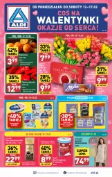 Gazetka promocyjna Aldi - Pełna oferta - Gazetka - ważna od 17.02 do 17.02.2024 - strona 1 - produkty: Kawa rozpuszczalna, Ser, Gra, Papier, Tulipan, Papryka, Dallmayr, Kawa, Pomarańcze, Kamizelka, Ręcznik, Czekolada, Szpic, Przysmaki, Bukiet, Milka, Likier, Fa