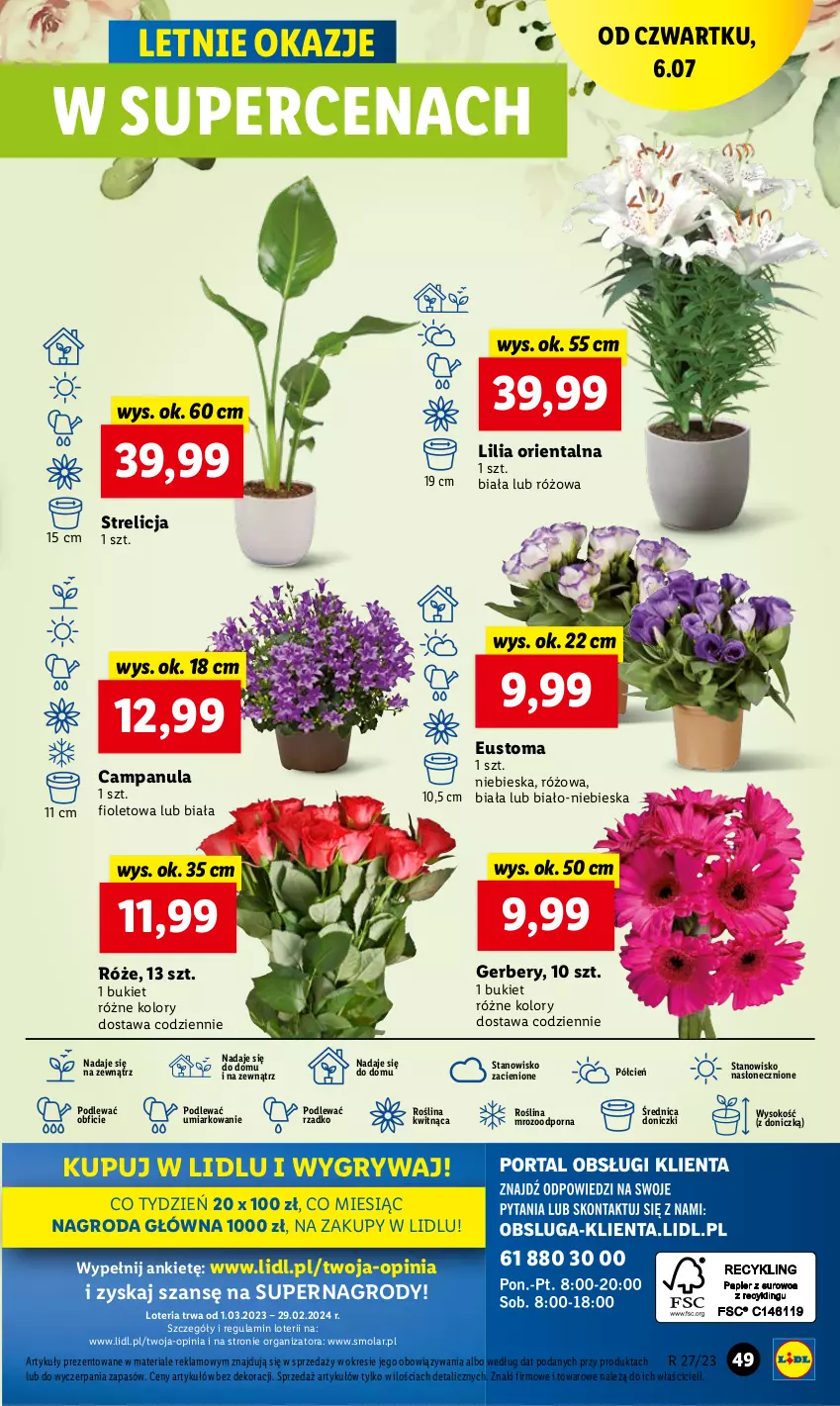 Gazetka promocyjna Lidl - GAZETKA - ważna 06.07 do 08.07.2023 - strona 63 - produkty: Bukiet, Campanula, Cień, Gerber, Gry, Mola, O nas, Por, Sok