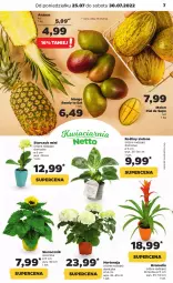 Gazetka promocyjna Netto - Artykuły spożywcze - Gazetka - ważna od 30.07 do 30.07.2022 - strona 7 - produkty: Ananas, Storczyk, Bromelia, Mango, Melon