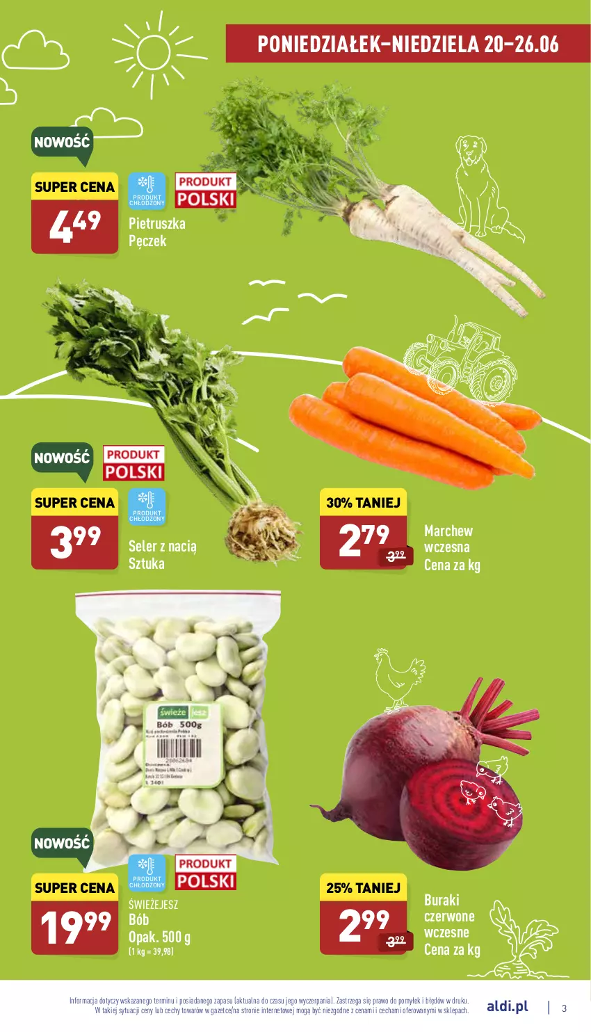 Gazetka promocyjna Aldi - Pełny katalog - ważna 20.06 do 26.06.2022 - strona 3 - produkty: Buraki, Pietruszka