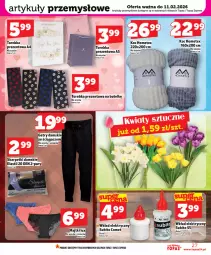 Gazetka promocyjna Topaz - Gazetka - Gazetka - ważna od 11.02 do 11.02.2026 - strona 27 - produkty: Torebka, Top, NBA, Koc, Karp, Skarpetki