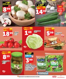 Gazetka promocyjna Topaz - Gazetka - Gazetka - ważna od 11.02 do 11.02.2026 - strona 7 - produkty: Top