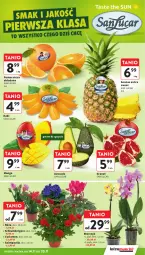 Gazetka promocyjna Intermarche - Gazetka Intermarche - Gazetka - ważna od 20.11 do 20.11.2024 - strona 15 - produkty: Gra, Róża, Granat, Ananas, Kaki, Storczyk, Avocado, Mango