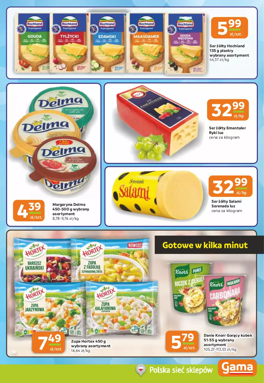 Gazetka promocyjna Gama - Gazetka Gama - ważna 16.01 do 28.01.2025 - strona 7 - produkty: Delma, Ementaler, Gra, Hochland, Hortex, Knorr, Kubek, Margaryna, Salami, Ser, Zupa