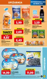 Gazetka promocyjna Lidl - GAZETKA - Gazetka - ważna od 21.02 do 21.02.2024 - strona 25 - produkty: Gra, Hamburger, Jagody, Big Milk, Bułeczki, Lody, Burger, Bułeczki mleczne, Kamis, Granola, Fa