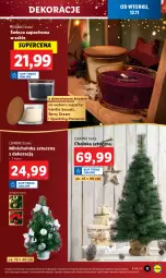 Gazetka promocyjna Lidl - GAZETKA - Gazetka - ważna od 16.11 do 16.11.2024 - strona 13 - produkty: Choinka, Inka, Ivar, Prosecco