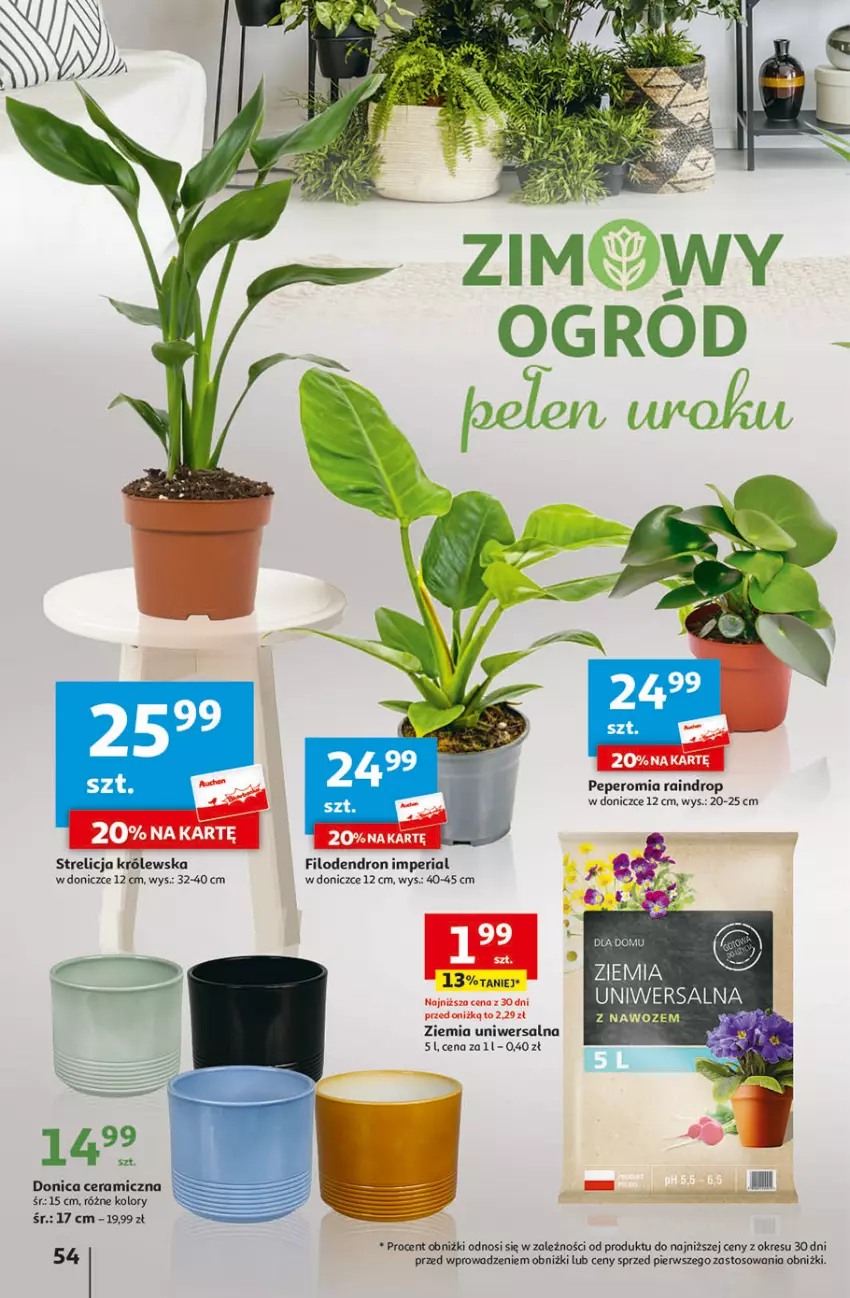 Gazetka promocyjna Auchan - Gazetka Świat Pełen Smaku Hipermarket Auchan - ważna 01.02 do 07.02.2024 - strona 54 - produkty: Dron