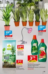 Gazetka promocyjna Auchan - Gazetka Świat Pełen Smaku Hipermarket Auchan - Gazetka - ważna od 07.02 do 07.02.2024 - strona 55 - produkty: Podłoże do roślin, Mus, Biohumus, Lampa LED, Storczyk, Lampa