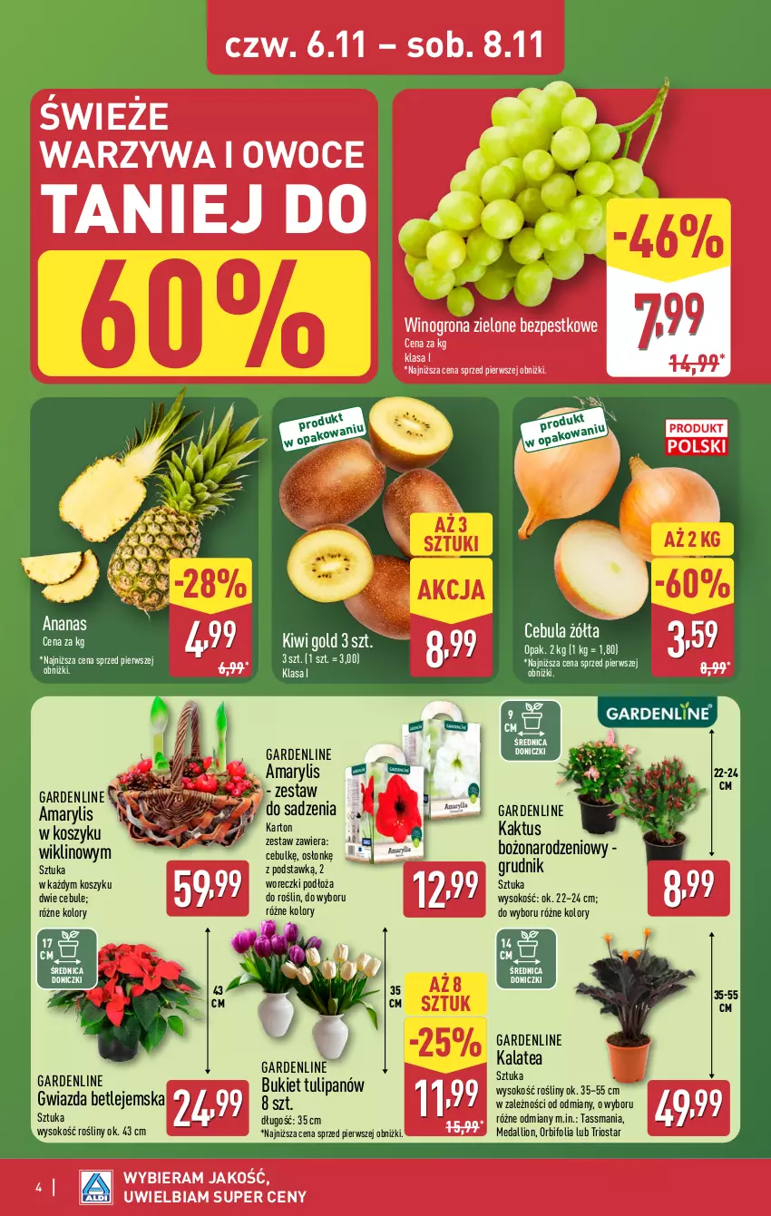 Gazetka promocyjna Aldi - Oferta weekendowa - ważna 06.11 do 08.11.2025 - strona 4 - produkty: Amarylis, Ananas, Bukiet, Cebula, Gwiazda, Kaktus, Kiwi, Kosz, Lion, Owoce, Sok, Tulipan, Warzywa, Warzywa i owoce, Wino, Winogrona