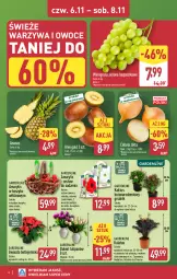 Gazetka promocyjna Aldi - Oferta weekendowa - Gazetka - ważna od 08.11 do 08.11.2025 - strona 4 - produkty: Cebula, Warzywa, Sok, Tulipan, Kaktus, Amarylis, Warzywa i owoce, Ananas, Kosz, Kiwi, Gwiazda, Lion, Winogrona, Bukiet, Owoce, Wino
