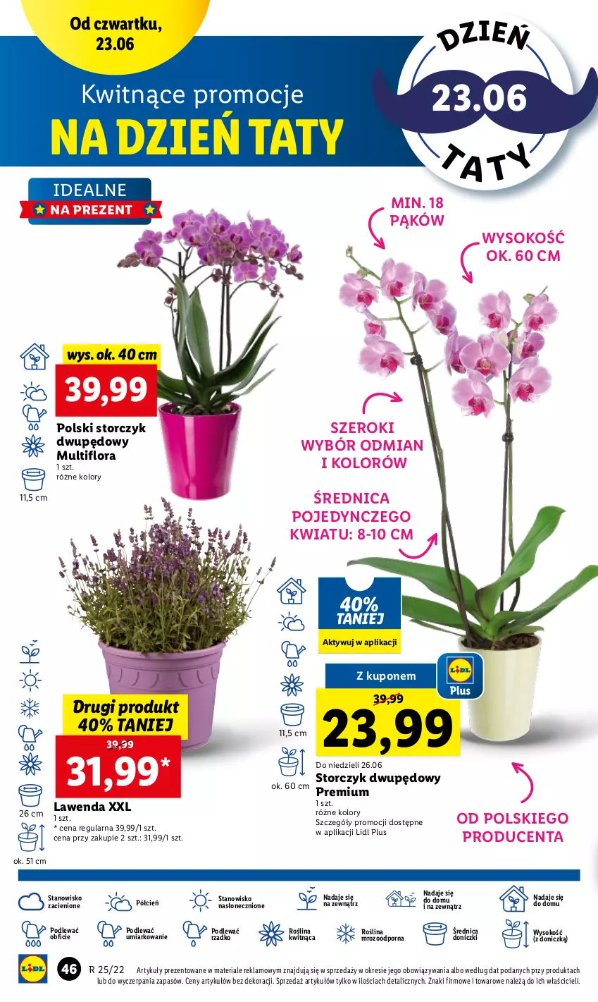 Gazetka promocyjna Lidl - GAZETKA - ważna 23.06 do 26.06.2022 - strona 46 - produkty: Cień, Flora, O nas, Por, Sok, Storczyk