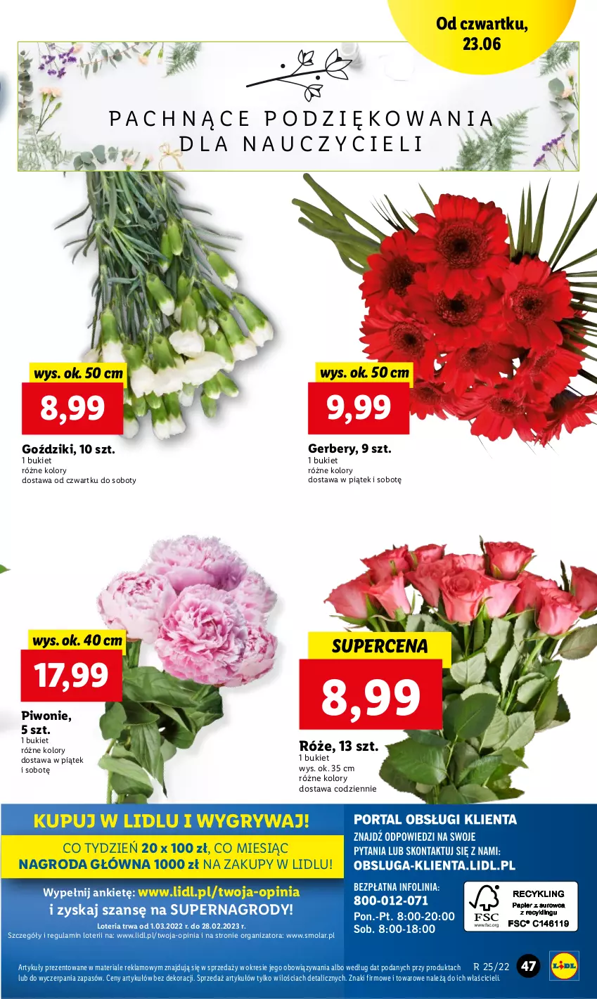 Gazetka promocyjna Lidl - GAZETKA - ważna 23.06 do 26.06.2022 - strona 47 - produkty: Bukiet, Gerber, Gry, Mola, Piwo