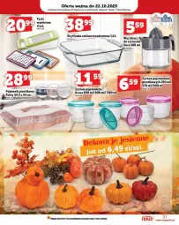 Gazetka promocyjna Topaz - Gazetka - Gazetka - ważna od 12.10 do 12.10.2025 - strona 31 - produkty: Top, Pojemnik, LANA, Pojemnik plastikowy, Brytfanka, Fa