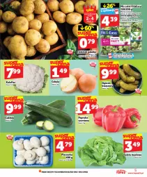 Gazetka promocyjna Topaz - Gazetka - Gazetka - ważna od 04.03 do 04.03.2026 - strona 5 - produkty: Piec, Cebula, Kalafior, Top, Sałata masłowa, Papryka, Ogórek, Sałat, Pieczarka, Masło