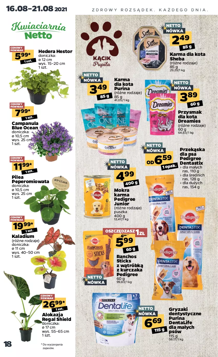 Gazetka promocyjna Netto - Gazetka spożywcza - ważna 16.08 do 21.08.2021 - strona 18 - produkty: Campanula, Gry, Kurczak, Mokra karma, Pedigree, Przysmak dla kota, Pur, Purina, Sheba