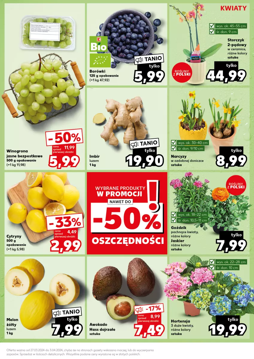 Gazetka promocyjna Kaufland - Kaufland - ważna 02.04 do 03.04.2024 - strona 15 - produkty: Cytryny, Melon, Narcyz, Storczyk, Wino, Winogrona