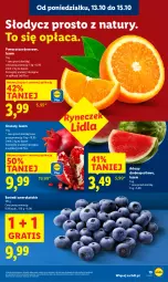 Gazetka promocyjna Lidl - GAZETKA - Gazetka - ważna od 15.10 do 15.10.2025 - strona 19 - produkty: Ser, Gra, Granat, Pomarańcze, Deser, Arbuz