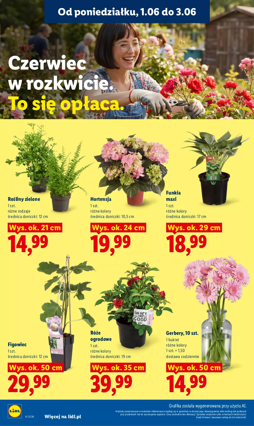 Gazetka promocyjna Lidl - Gazetka ważna od 1.06 do 3.06 - ważna 01.06 do 03.06.2026 - strona 106 - produkty: Bukiet, Gerber, Gra, Grafika