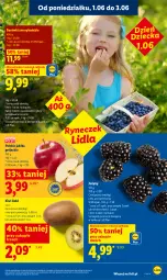 Gazetka promocyjna Lidl - Gazetka ważna od 1.06 do 3.06 - Gazetka - ważna od 03.06 do 03.06.2026 - strona 45 - produkty: Jeżyny, Kiwi, Olej, Jabłka