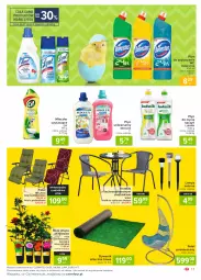 Gazetka promocyjna Carrefour - Gazetka Market - Gazetka - ważna od 03.04 do 03.04.2021 - strona 17 - produkty: Ludwik, Domestos, Cif, Do mycia naczyń, Borówka, Borówka amerykańska, Dywanik, Róża, Stolik, Płyn do czyszczenia wc, Płyn do mycia naczyń, Mleczko, Krzesło, Płyn do mycia, Lysol, Sidolux, Fotel, Lampa, Dywan