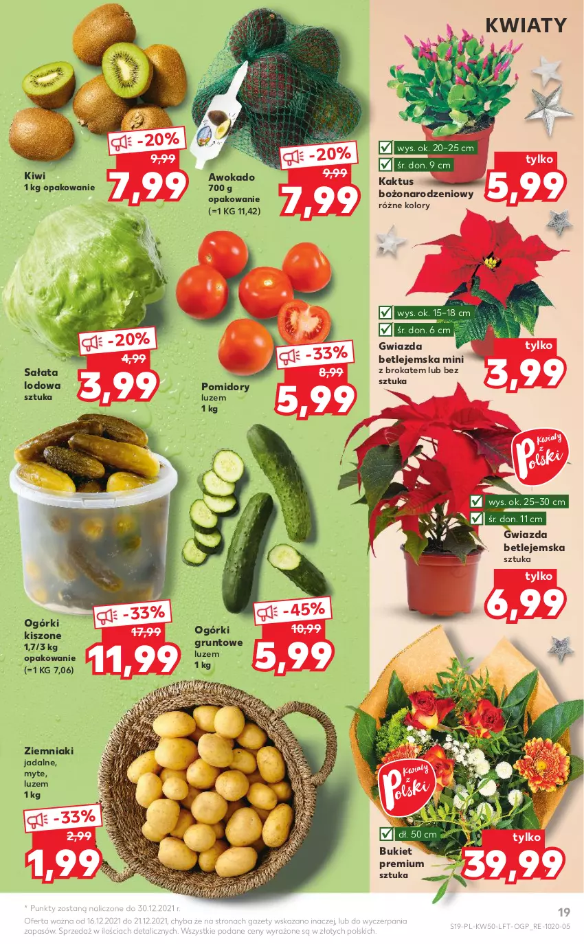 Gazetka promocyjna Kaufland - OFERTA TYGODNIA - ważna 16.12 do 21.12.2021 - strona 19 - produkty: Bukiet, Grunt, Gwiazda, Kaktus, Kiwi, Pomidory, Sałat, Sałata lodowa, Ziemniaki