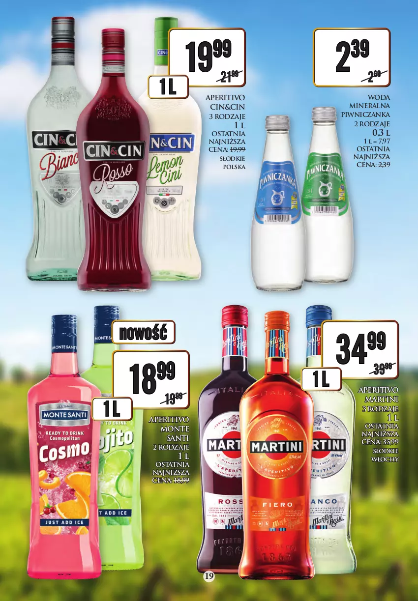 Gazetka promocyjna Dino - Katalog alkoholowy czerwiec 05-10.06 - ważna 04.06 do 10.06.2023 - strona 19 - produkty: Martini, Monte, Monte Santi, Woda, Woda mineralna