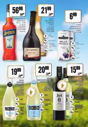 Gazetka promocyjna Dino - Katalog alkoholowy czerwiec 05-10.06 - Gazetka - ważna od 10.06 do 10.06.2023 - strona 20 - produkty: Puma, Makaron, Ser, Wino bezalkoholowe, Drób, Sałat, Owoce morza, Monte Santi, Owoce, Deser, Wino, Likier, Monte, Aperol