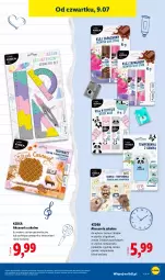 Gazetka promocyjna Lidl - Katalog ważny od 6.07 - Gazetka - ważna od 11.07 do 11.07.2026 - strona 43 - produkty: Klej, Pamiętnik
