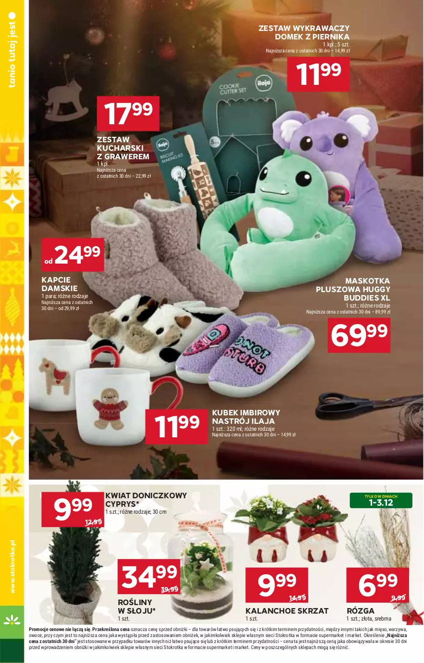 Gazetka promocyjna Stokrotka - Market - ważna 27.11 do 03.12.2025 - strona 24 - produkty: Gra, Imbir, Kalanchoe, Kapcie, Kubek, Maskotka pluszowa, Mięso, Owoce, Piernik, Skrzat, Warzywa