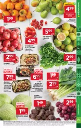 Gazetka promocyjna Stokrotka - Market - Gazetka - ważna od 03.12 do 03.12.2025 - strona 13 - produkty: Cebula czerwona, Cebula, Warzywa, Por, Gra, Sałata masłowa, Granat, Kaki, Sałat, Gruszki, Buraki, Owoce, Masło, Pomidory, Mięso, Jabłka, Grejpfrut