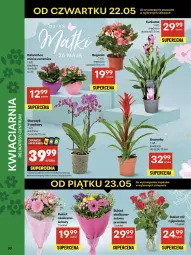 Gazetka promocyjna Delikatesy Centrum - Franczyza DC21 Czwartek - Gazetka - ważna od 28.05 do 28.05.2025 - strona 30 - produkty: Kurkuma, Rum, Koc, Kalanchoe, Dron, Storczyk, Bromelia, Bukiet