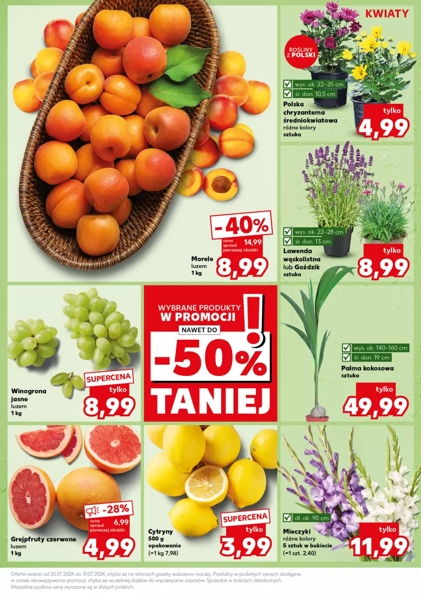 Gazetka promocyjna Kaufland - Kaufland - ważna 29.07 do 31.07.2024 - strona 13 - produkty: Chryzantema, Cytryny, Grejpfrut, Kokos, Miecz, Palma, Wino, Winogrona