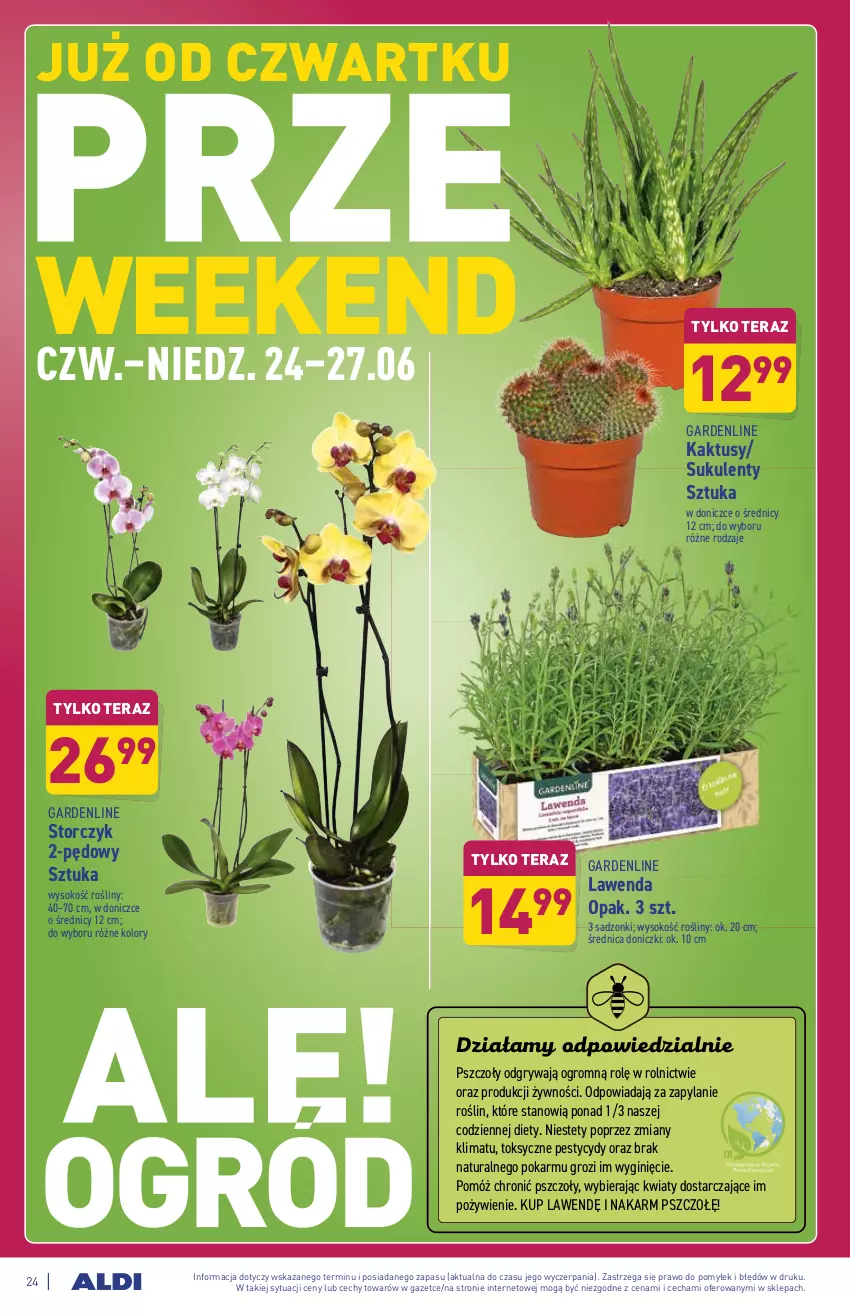 Gazetka promocyjna Aldi - ważna 21.06 do 26.06.2021 - strona 24 - produkty: Gin, Gry, Kaktus, Sok, Storczyk, Sukulent, Tera