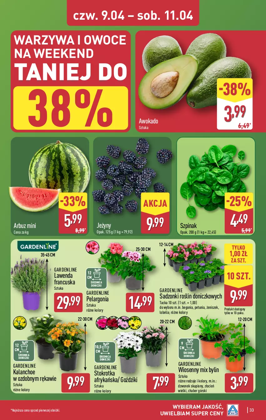 Gazetka promocyjna Aldi - Pełna oferta - ważna 07.04 do 11.04.2026 - strona 33 - produkty: Arbuz, Cień, Dzwonek, Jeżyny, Kalanchoe, Owoce, Szpinak, Warzywa, Warzywa i owoce