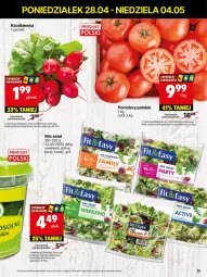 Gazetka promocyjna Delikatesy Centrum - Franczyza DC18 Poniedziałek - Gazetka - ważna od 04.05 do 04.05.2025 - strona 15 - produkty: Rum, Dron, Sałat, Grill, Pomidory, Rzodkiewka, Fa