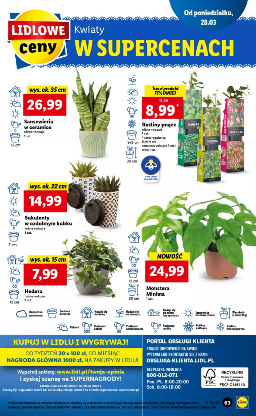 Gazetka promocyjna Lidl - GAZETKA - ważna 28.03 do 30.03.2022 - strona 63 - produkty: Cień, Dada, Gry, Papier, Sukulent, Szal, Tera