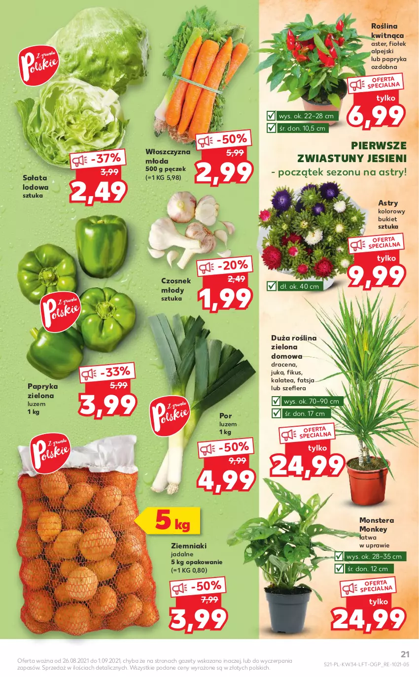 Gazetka promocyjna Kaufland - OFERTA TYGODNIA - ważna 26.08 do 01.09.2021 - strona 21 - produkty: Bukiet, Czosnek, Fa, Papryka, Por, Sałat, Sałata lodowa, Tera, Ziemniaki