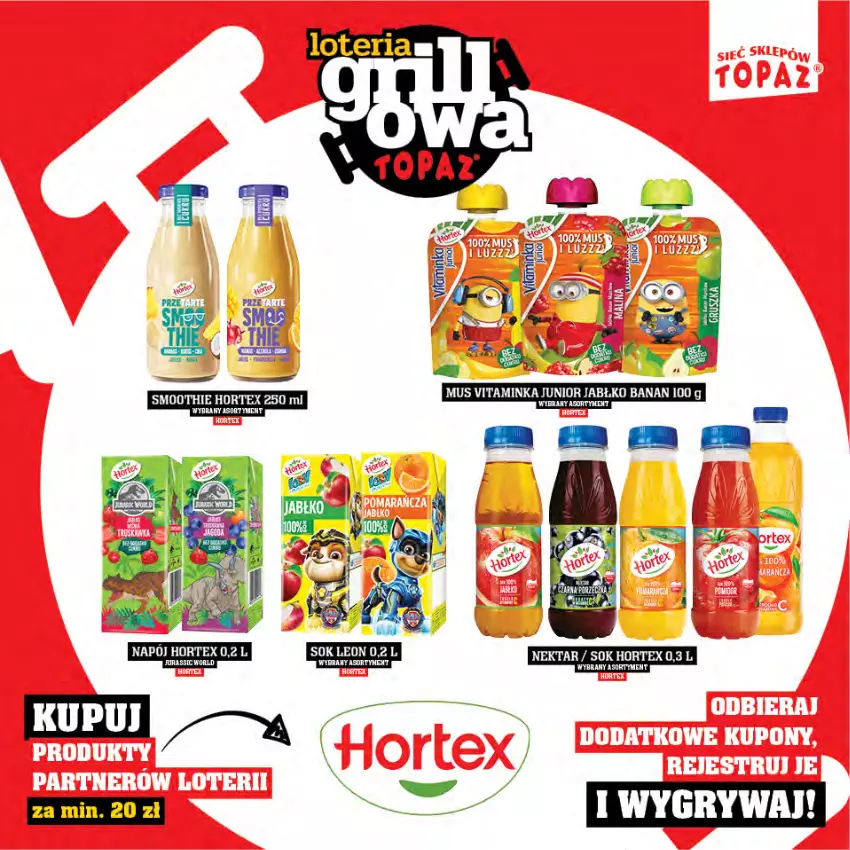 Gazetka promocyjna Topaz - Gazetka - ważna 25.04 do 15.06.2025 - strona 65 - produkty: Hortex, Inka, Leon, Mus, Nektar, Smoothie, Sok