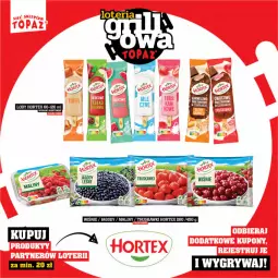Gazetka promocyjna Topaz - Gazetka - Gazetka - ważna od 15.06 do 15.06.2025 - strona 20 - produkty: Lody, Hortex