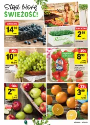 Gazetka promocyjna Intermarche - Wielkanoc - Gazetka - ważna od 06.04 do 06.04.2021 - strona 22 - produkty: Borówka, Rzeżucha, Wino, Jabłka