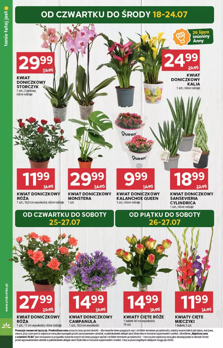 Gazetka promocyjna Stokrotka - Supermarket - ważna 18.07 do 24.07.2024 - strona 6 - produkty: Bukiet, Campanula, Kalanchoe, Kwiaty cięte, Miecz, Mięso, Owoce, Róża, Sok, Storczyk, Tera, Warzywa