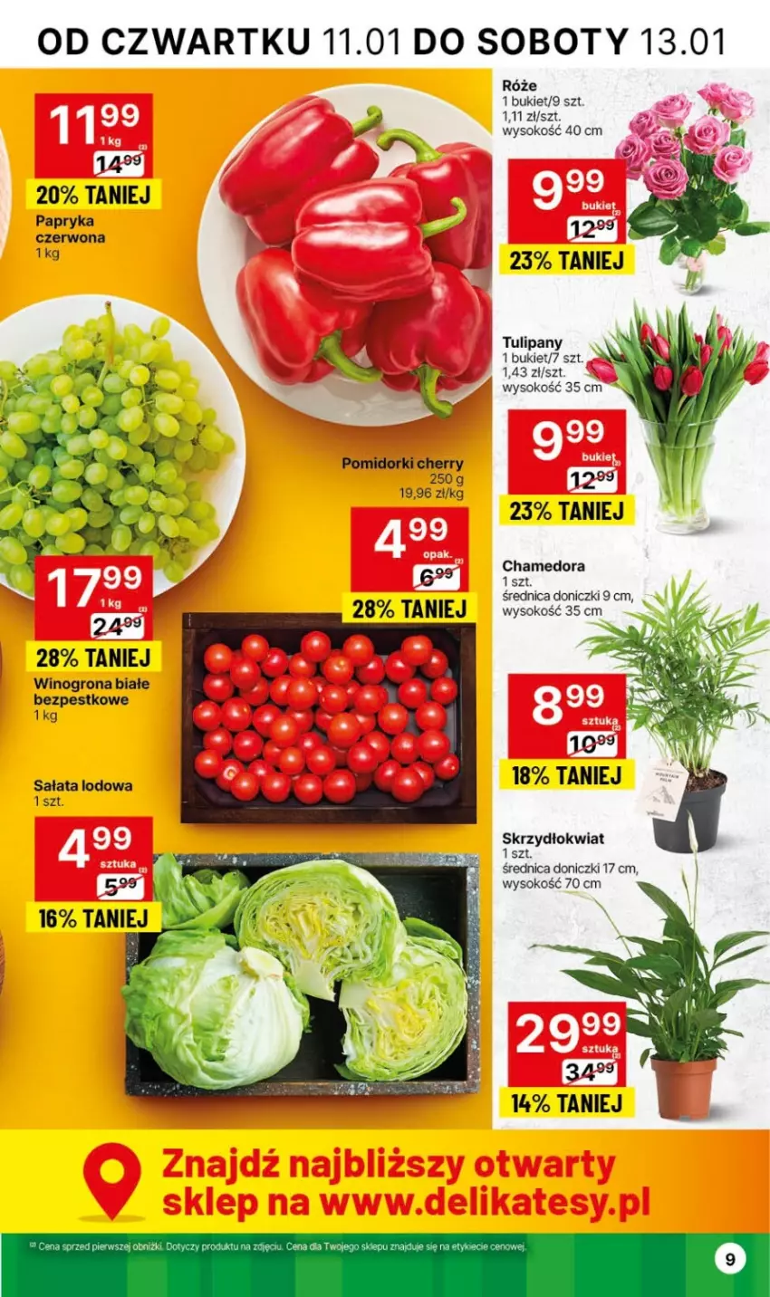 Gazetka promocyjna Delikatesy Centrum - Dyskontowe ceny w Delikatesach Centrum - ważna 11.01 do 17.01.2024 - strona 9 - produkty: Bukiet, Papryka, Pomidorki, Sałat, Sałata lodowa, Sok, Tulipan, Wino, Winogrona