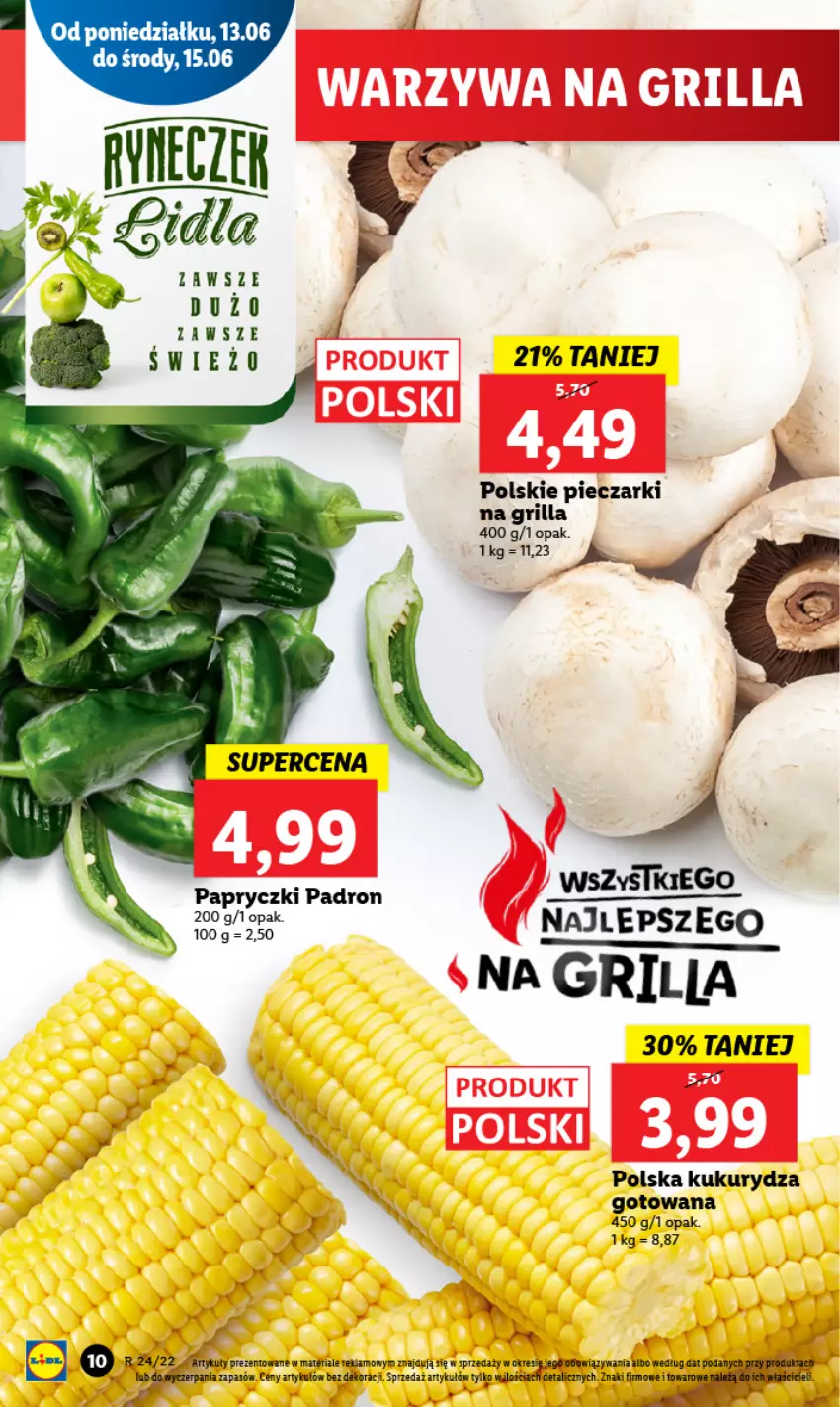 Gazetka promocyjna Lidl - GAZETKA - ważna 13.06 do 15.06.2022 - strona 10 - produkty: Dron, Grill, Kukurydza, Piec