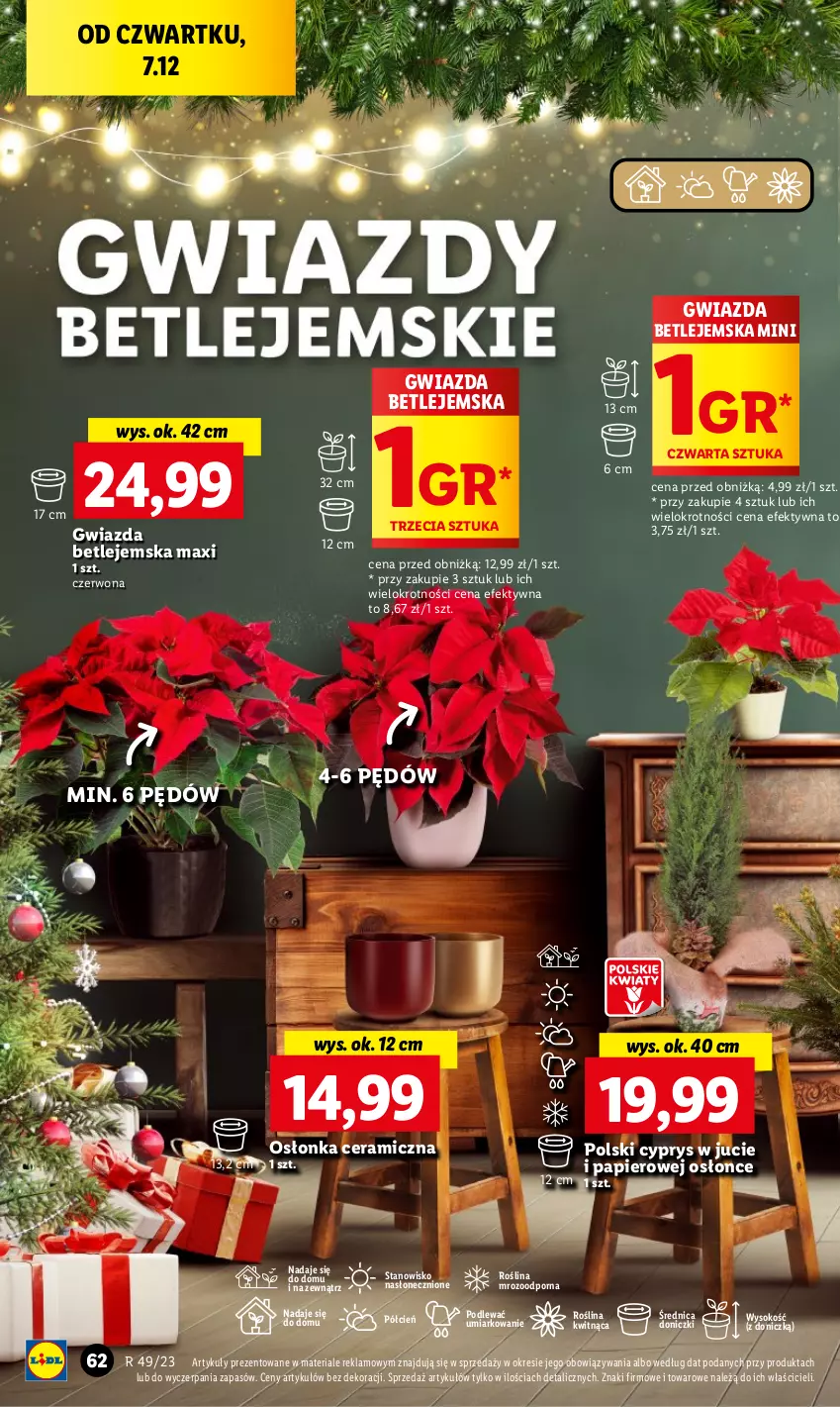 Gazetka promocyjna Lidl - GAZETKA - ważna 07.12 do 10.12.2023 - strona 68 - produkty: Cień, Gwiazda, O nas, Osłonka, Papier, Por, Sok