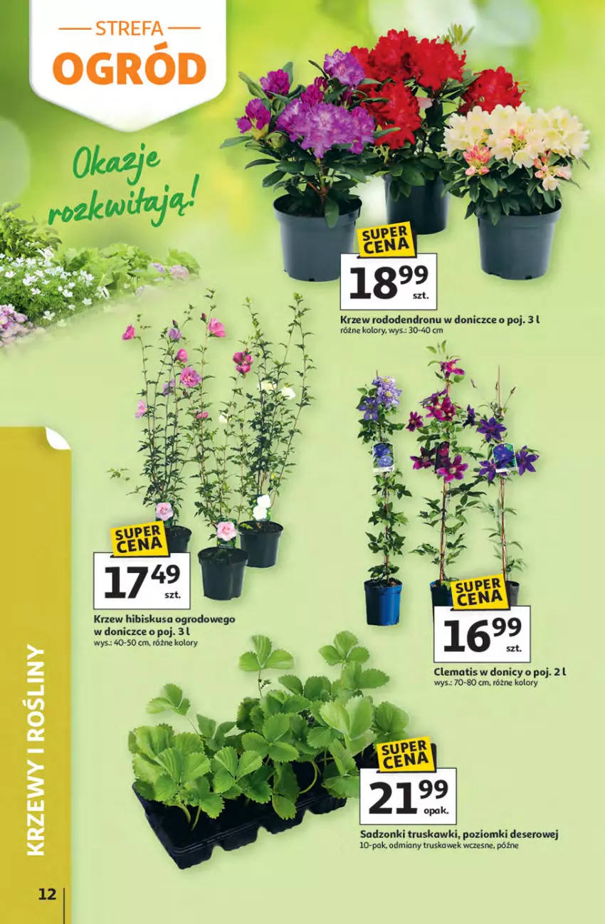 Gazetka promocyjna Auchan - Gazetka Strefa Relaksu Hipermarket Auchan - ważna 09.04 do 22.04.2026 - strona 12 - produkty: Deser, Dron, Fa, Hibiskus, Ser, Truskawki