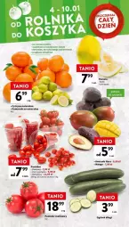 Gazetka promocyjna Intermarche - Gazetka - ważna od 10.01 do 10.01.2024 - strona 29 - produkty: Ser, Ogórek, Pomelo, Avocado, Mango