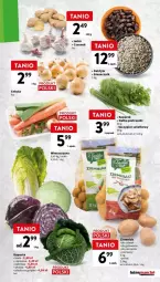 Gazetka promocyjna Intermarche - Gazetka - ważna od 10.01 do 10.01.2024 - strona 30 - produkty: Piec, Cebula, Daktyle, Sałat, Natka pietruszki, Fa