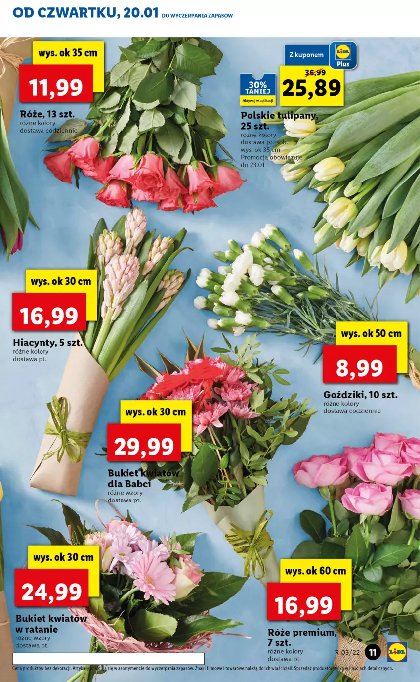 Gazetka promocyjna Lidl - GAZETKA - ważna 20.01 do 23.01.2022 - strona 11 - produkty: Hiacynt